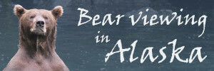 alaska bear excursions