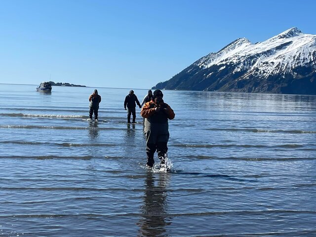 Bear Viewing Tours in Alaska 2