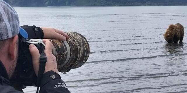 alaskan brown bear tours