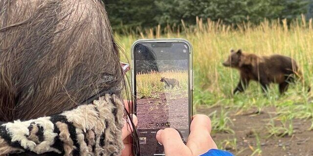 Bear Viewing in Alaska