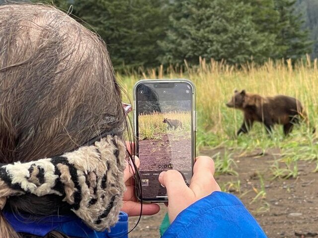 Bear Viewing in Alaska