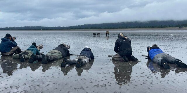 alaska bear viewing trips 1
