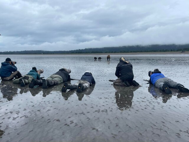 alaska bear viewing trips 1