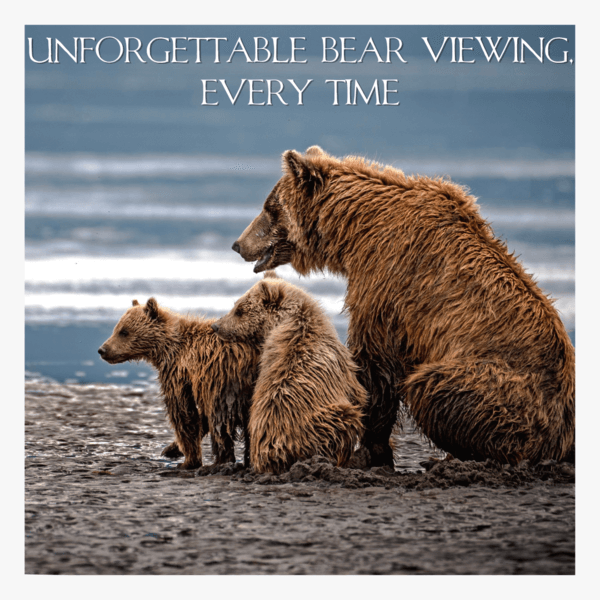 Bear Watching in Alaska