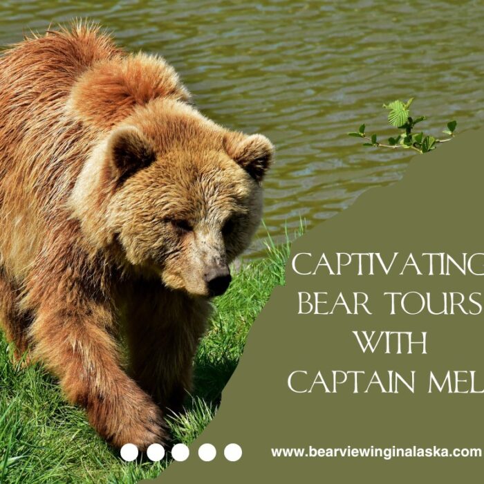 Bear Watching in Alaska