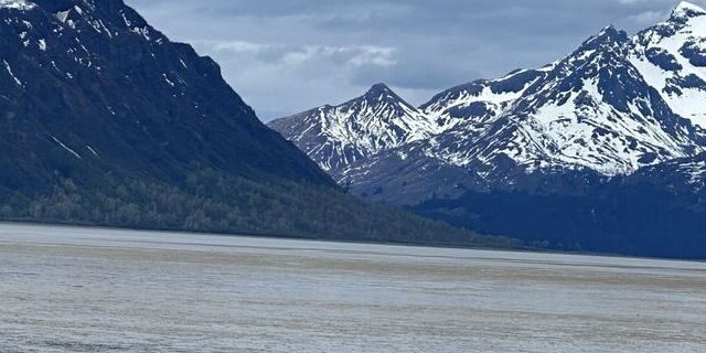 bear watching alaska