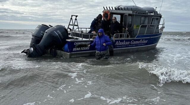 chinitna bay bear tours