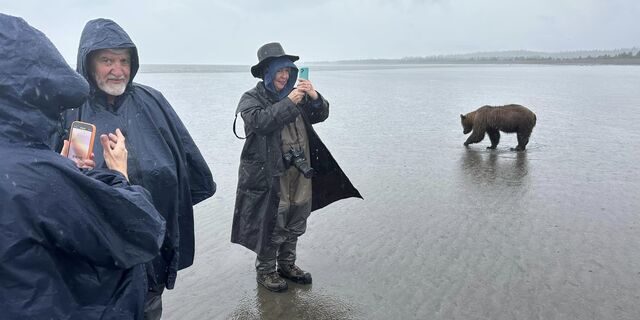bear watching alaska