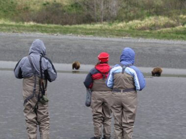 Bear Viewing in Alaska