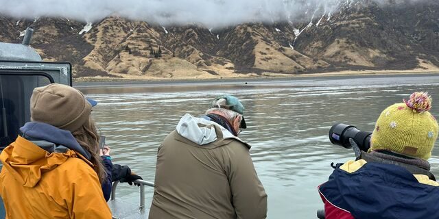 Bear Viewing in Alaska