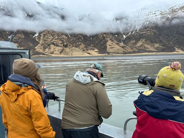 Bear Viewing in Alaska