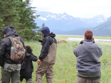 Bear Viewing in Alaska