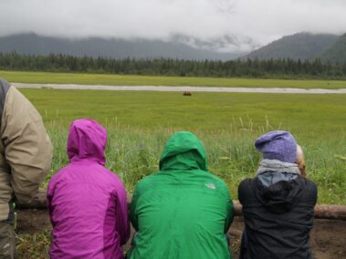 Bear Viewing in Alaska