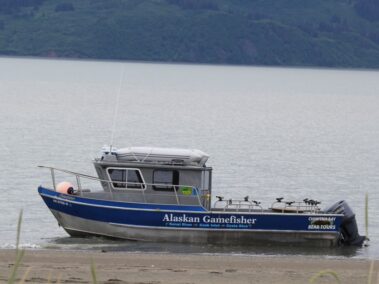 Bear Viewing in Alaska