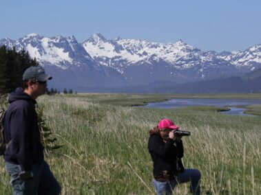 Bear Viewing in Alaska