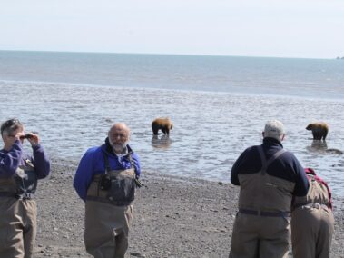 Bear Viewing in Alaska