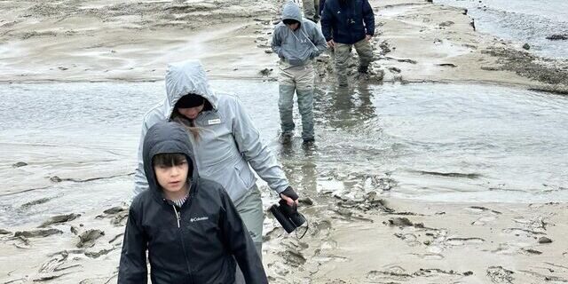 Bear Viewing in Alaska