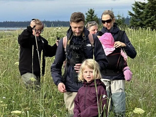 Bear Viewing in Alaska