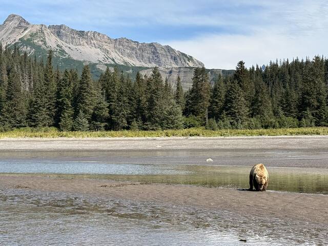 Bear Viewing in Alaska Bear Viewing in Alaska