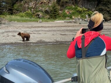 Bear Viewing Tours in Alask