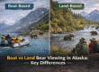 Boat vs Land Bear Viewing in Alaska