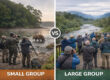 Small vs Large Bear Viewing Tours in Alaska
