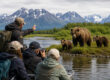 Bear Viewing Safe for First-Time Visitors in Alaska