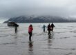 Bear Viewing in Alaksa