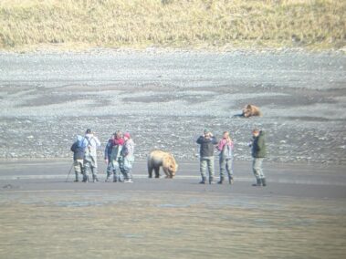 Bear Viewing in Alaska