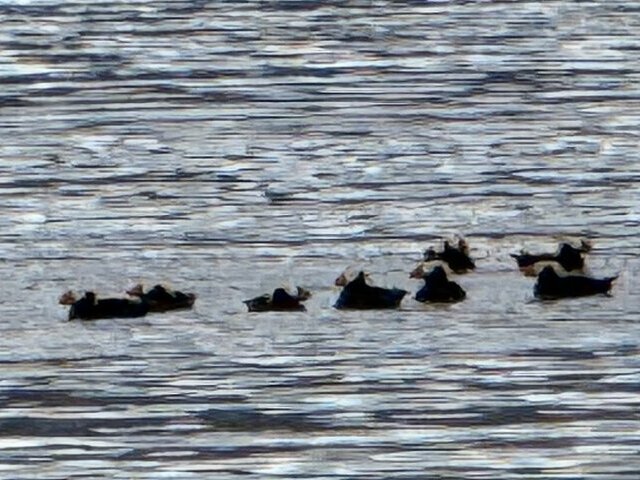 Tours in Alaska