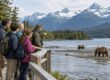 Bear Viewing Tours Alaska
