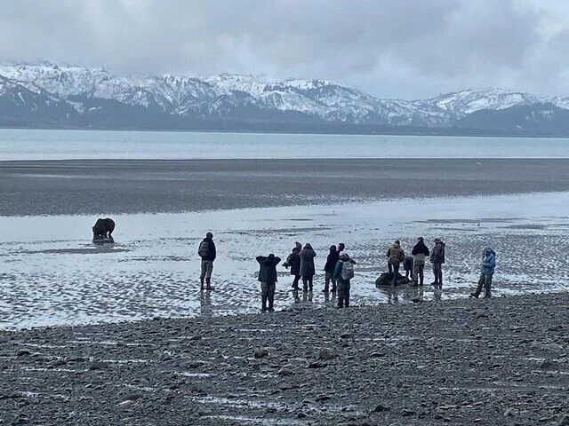 Bear Viewing in Alaska