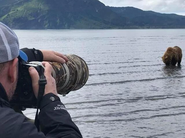 alaskan brown bear tours