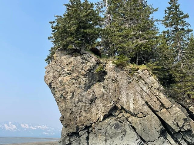 Bear Viewing in Alaska