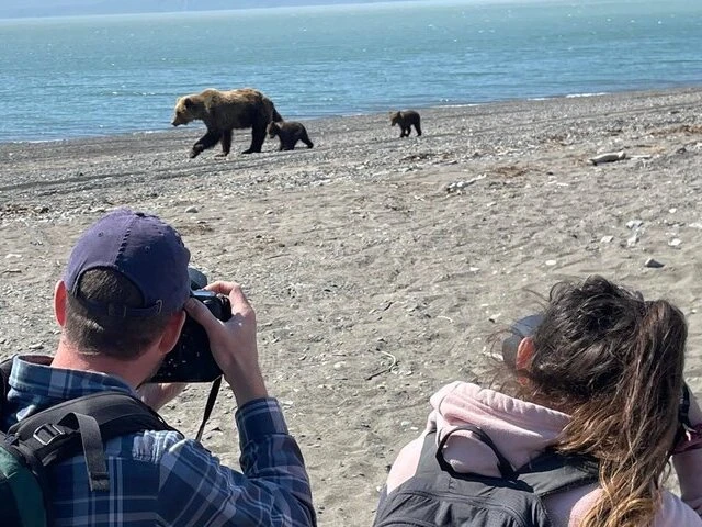 Bear Viewing in Alaska
