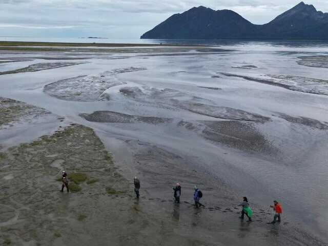 bear viewing tours in alaska
