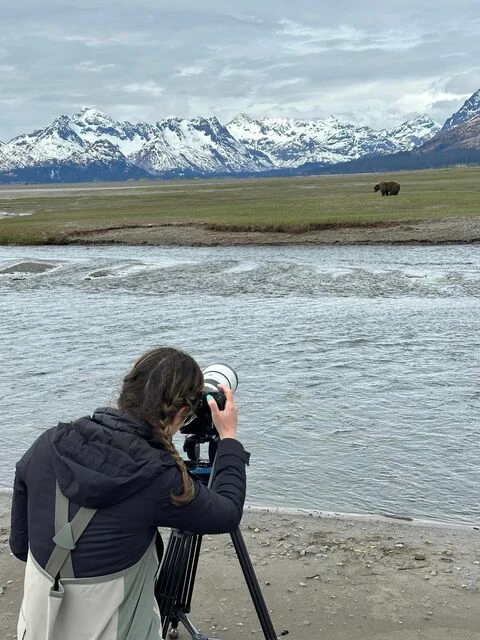 bear viewing tours in alaska
