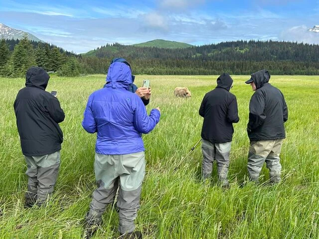 chinitna bay bear tours