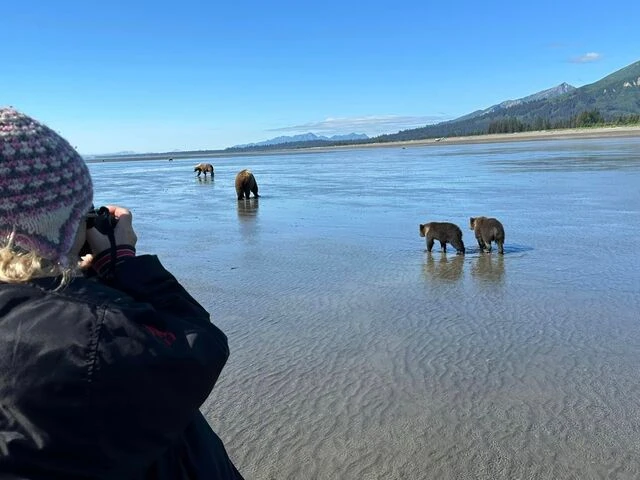 alaskan brown bear tours