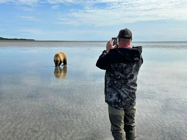 alaskan brown bear viewing