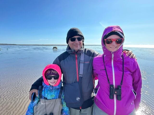 alaskan brown bear viewing