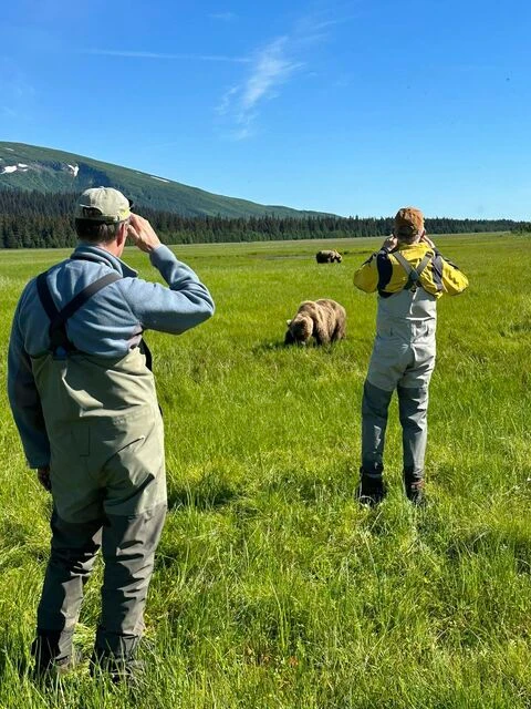 bear viewing in alaska