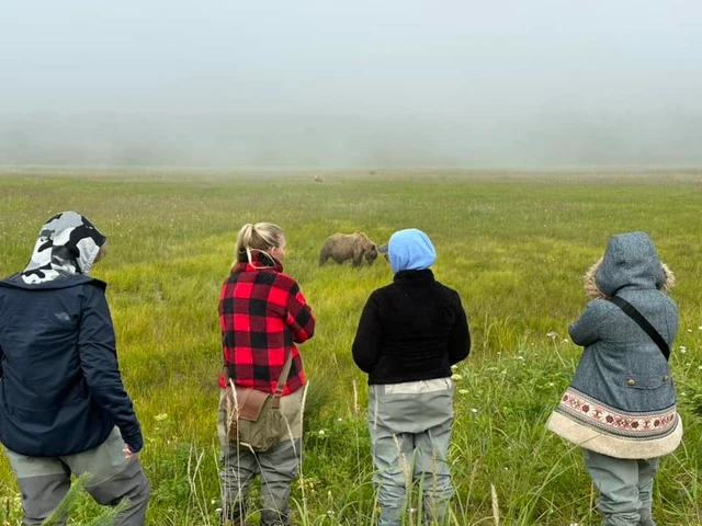 bear viewing tours in alaska
