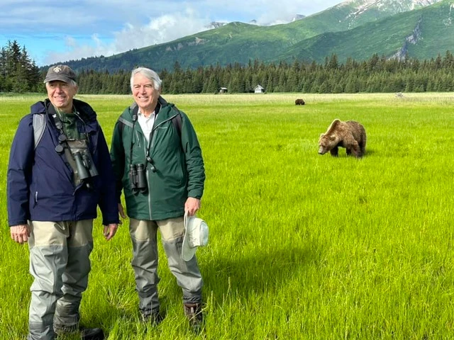 grizzly bear viewing alaska