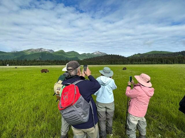 grizzly bear viewing alaska