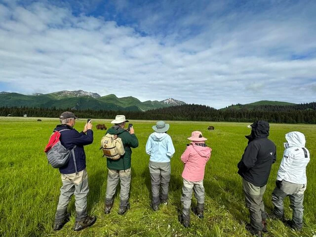 grizzly bear viewing alaska