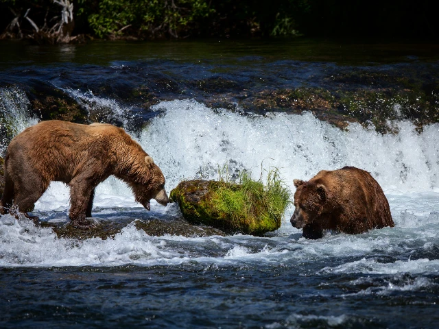 Katmai National Park and Preserve