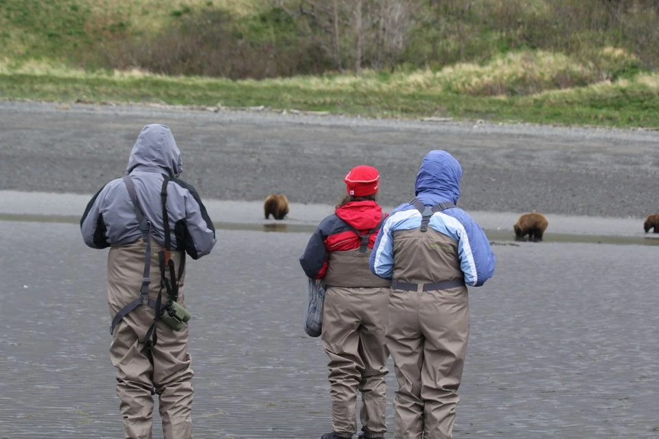 Bear Viewing in Alaska