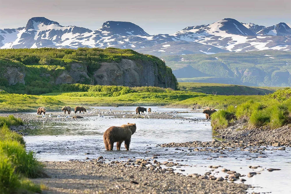 Chinitna Bay in bear viewing Alaska