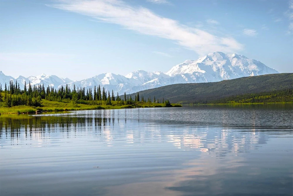 Denali National Park in bear viewing Alaska
